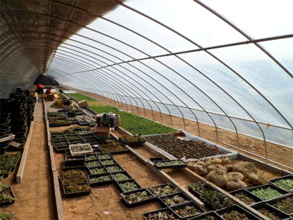 農(nóng)業(yè)未來發(fā)展的六大趨勢